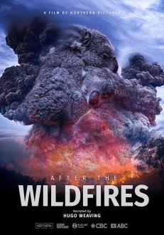 After the Wildfires (2020)