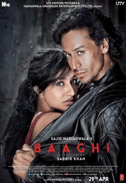 Baaghi (2016)