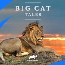 Big Cat Tales (2018)