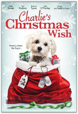 Charlie's Christmas Wish (2021)