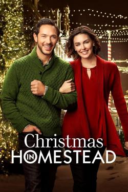Christmas in Homestead (2016)
