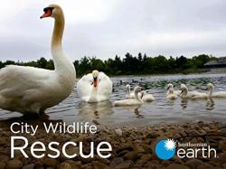 City Wildlife Rescue (1970)