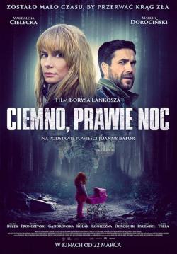 Dark, Almost Night (2021)