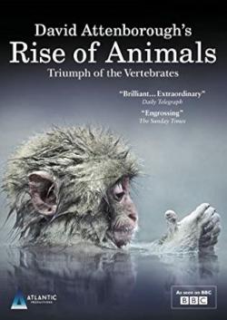 David Attenborough's Rise of Animals: Triumph of the Vertebrates (2013)