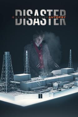 Disaster Autopsy (2024)