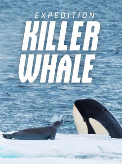 Expedition Killer Whale (2024)