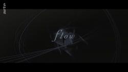 Flow (2019)