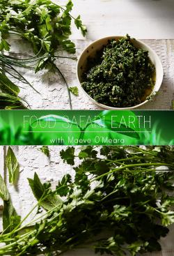 Food Safari Earth (2017)