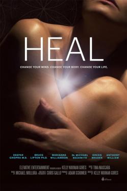 Heal (2017)