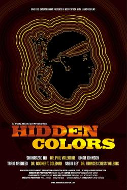 Hidden Colors (2011)