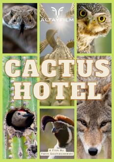 Kaktus Hotel (2023)