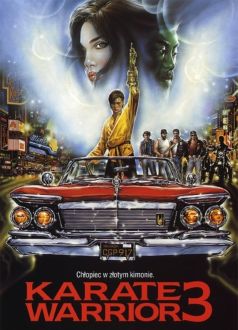 Karate Warrior 3 (1991)