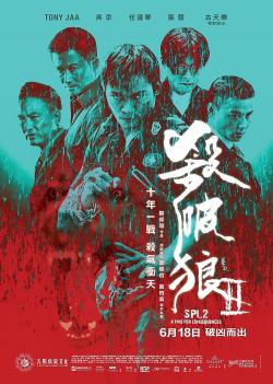 Kill Zone 2 (2016)