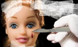 Miss Plastic - A szikék szépe (2009)