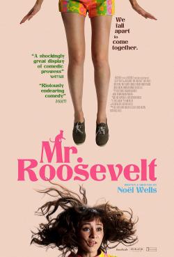 Mr. Roosevelt (2017)
