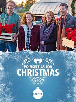 Poinsettias for Christmas (2018)