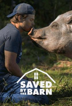 Saved by the Barn (2020)