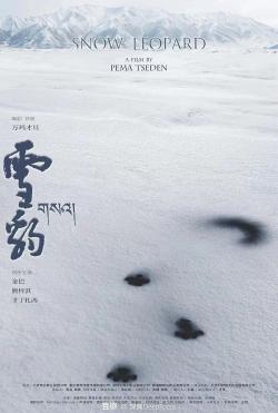 Snow Leopard (2023)
