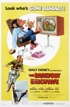 The Barefoot Executive (1971)