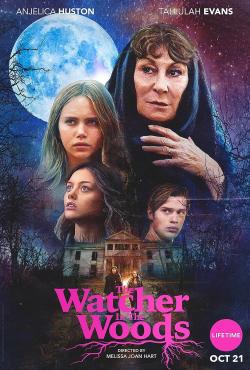 The Watcher in the Woods (2017)