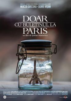 To Paris with the Identity Card (2015)