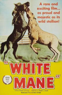 White Mane (1953)