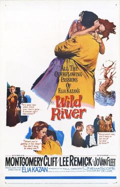Wild River (1960)